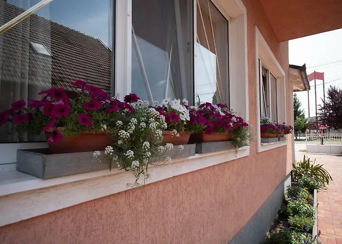 Apartamento Greta Ház *